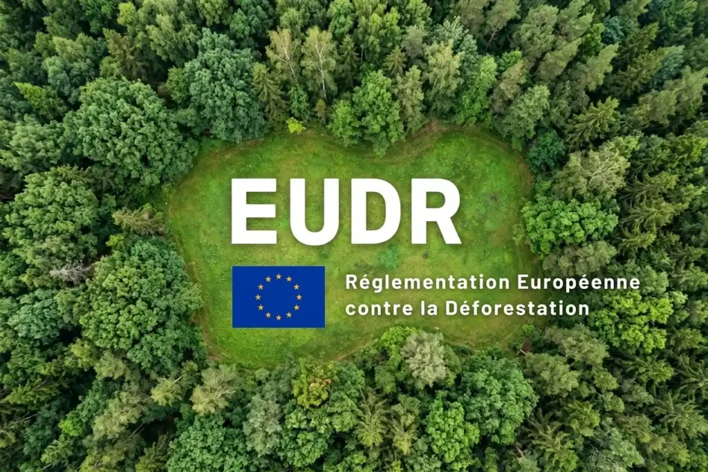 Qu'est-ce que le règlement EUDR et pourquoi a-t-il été adopté ?